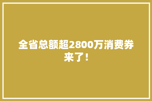 全省总额超2800万消费券来了！ 全省总额超2800万消费券来了！ 人工智能