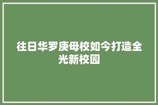 往日华罗庚母校如今打造全光新校园 往日华罗庚母校如今打造全光新校园 人工智能