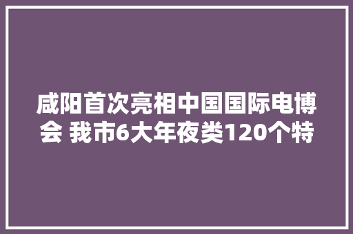 咸阳首次亮相中国国际电博会 我市6大年夜类120个特色产品“触电