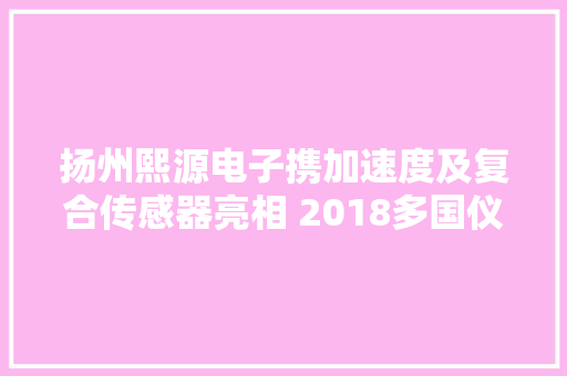 扬州熙源电子携加速度及复合传感器亮相 2018多国仪器仪表展 扬州熙源电子携加速度及复合传感器亮相 2018多国仪器仪表展 智能科技