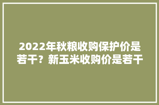 2022年秋粮收购保护价是若干？新玉米收购价是若干？ 2022年秋粮收购保护价是若干？新玉米收购价是若干？ 智能家居