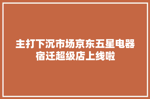 主打下沉市场京东五星电器宿迁超级店上线啦 主打下沉市场京东五星电器宿迁超级店上线啦 智能家居