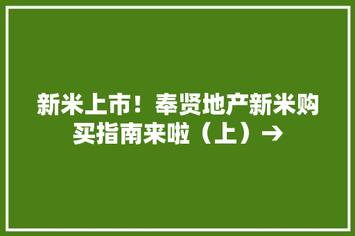 新米上市！奉贤地产新米购买指南来啦（上）→