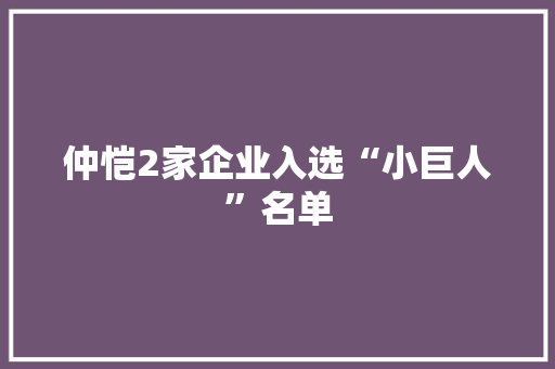 仲恺2家企业入选“小巨人”名单