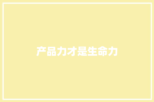 产品力才是生命力 产品力才是生命力 智能家居