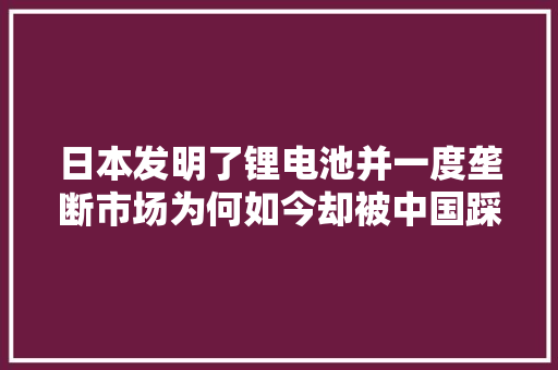 日本发明了锂电池并一度垄断市场为何如今却被中国踩在脚下？ 日本发明了锂电池并一度垄断市场为何如今却被中国踩在脚下？ 智能家居