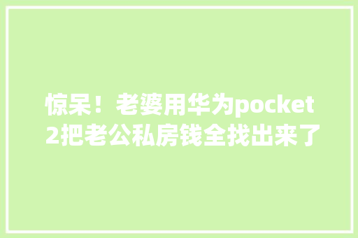 惊呆！老婆用华为pocket 2把老公私房钱全找出来了！华子叛变了？