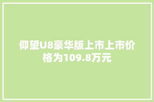 仰望U8豪华版上市上市价格为109.8万元