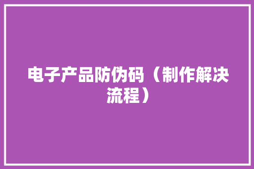 电子产品防伪码（制作解决流程）