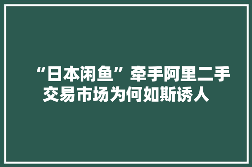 “日本闲鱼”牵手阿里二手交易市场为何如斯诱人