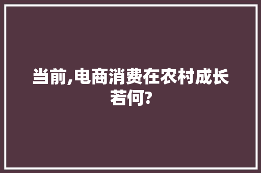 当前,电商消费在农村成长若何?