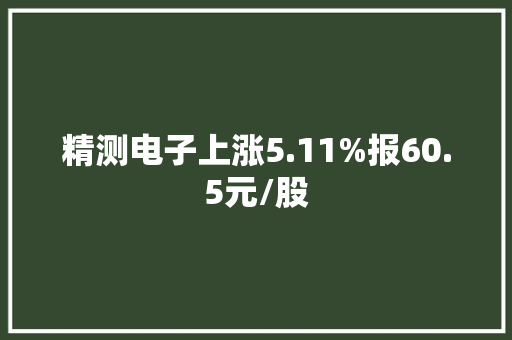 精测电子上涨5.11%报60.5元/股