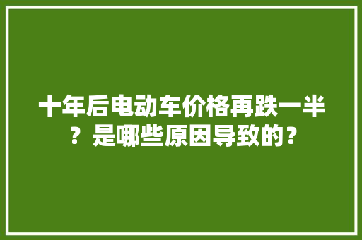 十年后电动车价格再跌一半？是哪些原因导致的？ 十年后电动车价格再跌一半？是哪些原因导致的？ 人工智能