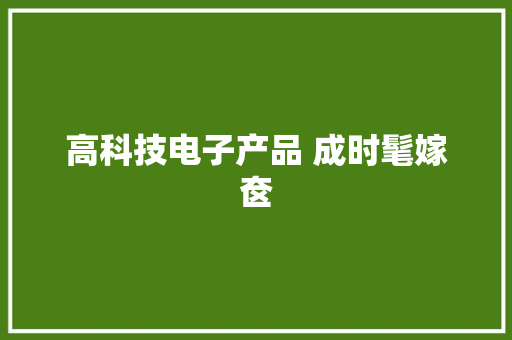 高科技电子产品 成时髦嫁奁