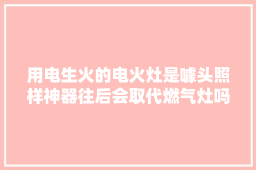 用电生火的电火灶是噱头照样神器往后会取代燃气灶吗？