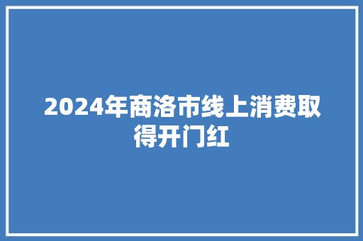 2024年商洛市线上消费取得开门红