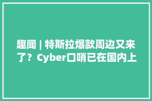 趣闻 | 特斯拉爆款周边又来了？Cyber口哨已在国内上架价格350元