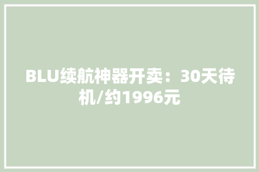 BLU续航神器开卖：30天待机/约1996元