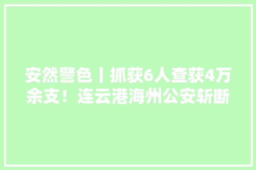 安然警色丨抓获6人查获4万余支！连云港海州公安斩断一根跨省造孽发卖电子烟链条