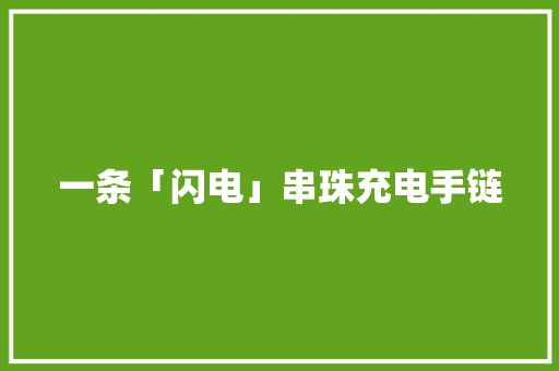一条「闪电」串珠充电手链 一条「闪电」串珠充电手链 人工智能
