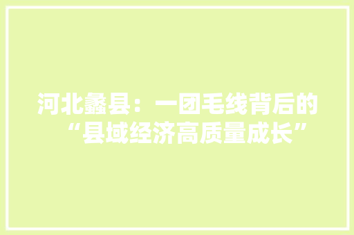 河北蠡县：一团毛线背后的“县域经济高质量成长” 河北蠡县：一团毛线背后的“县域经济高质量成长” 人工智能