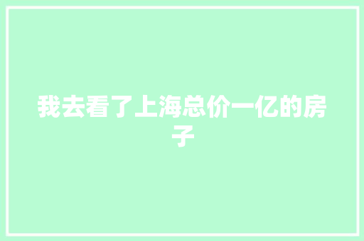 我去看了上海总价一亿的房子 我去看了上海总价一亿的房子 人工智能