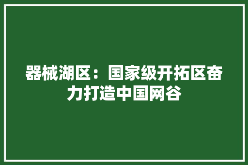器械湖区：国家级开拓区奋力打造中国网谷