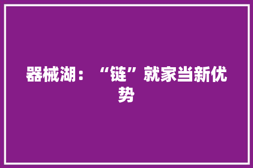 器械湖：“链”就家当新优势 器械湖：“链”就家当新优势 互联通信
