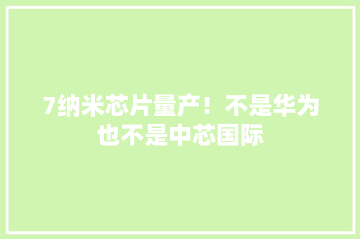 7纳米芯片量产！不是华为也不是中芯国际