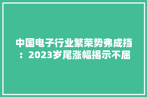 中国电子行业繁荣势弗成挡：2023岁尾涨幅揭示不屈常的机会