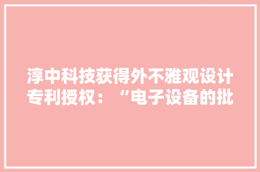 淳中科技获得外不雅观设计专利授权：“电子设备的批示通信和值班治理图形用户界面”