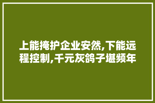 上能掩护企业安然,下能远程控制,千元灰鸽子堪频年夜厂数万产品 上能掩护企业安然,下能远程控制,千元灰鸽子堪频年夜厂数万产品 智能家居