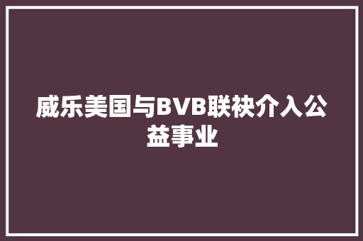 威乐美国与BVB联袂介入公益事业
