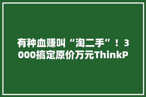 有种血赚叫“淘二手”！3000搞定原价万元ThinkPad小黑本