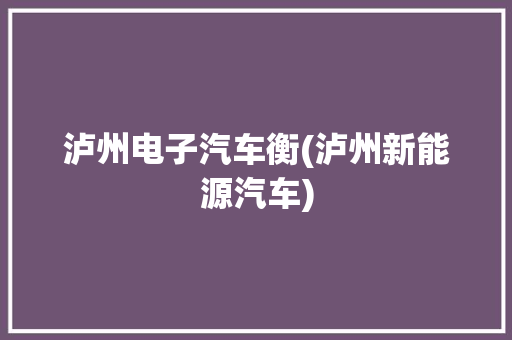 泸州电子汽车衡(泸州新能源汽车)