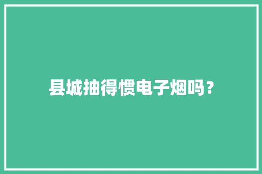 县城抽得惯电子烟吗？