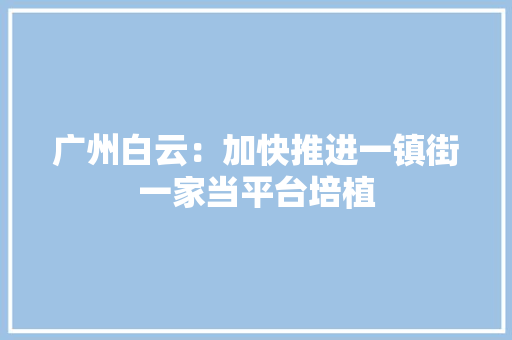 广州白云：加快推进一镇街一家当平台培植