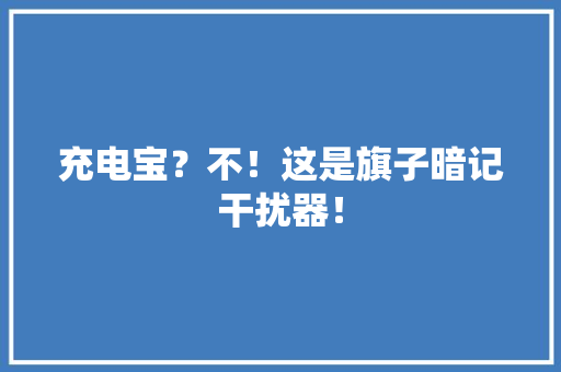 充电宝？不！这是旗子暗记干扰器！