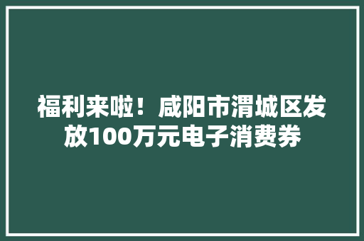 福利来啦！咸阳市渭城区发放100万元电子消费券