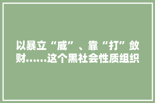 以暴立“威”、靠“打”敛财……这个黑社会性质组织受到严惩