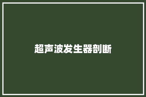 超声波发生器剖断