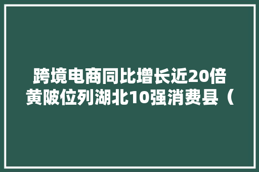 跨境电商同比增长近20倍黄陂位列湖北10强消费县（市区）之首