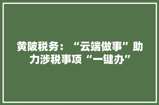 黄陂税务：“云端做事”助力涉税事项“一键办” 黄陂税务：“云端做事”助力涉税事项“一键办” 智能科技
