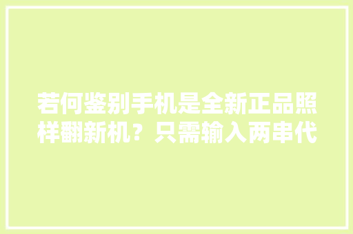 若何鉴别手机是全新正品照样翻新机？只需输入两串代码立马知道