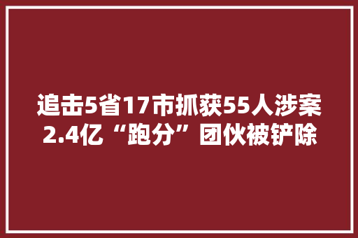 追击5省17市抓获55人涉案2.4亿“跑分”团伙被铲除！