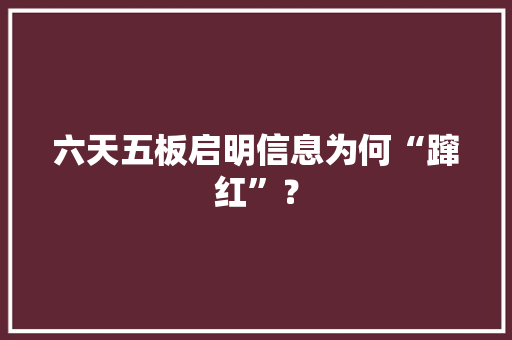 六天五板启明信息为何“蹿红”？