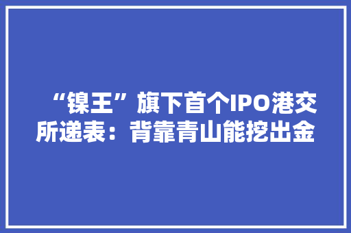 “镍王”旗下首个IPO港交所递表：背靠青山能挖出金山银山？ “镍王”旗下首个IPO港交所递表：背靠青山能挖出金山银山？ 人工智能