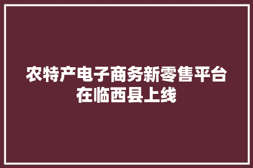 农特产电子商务新零售平台在临西县上线