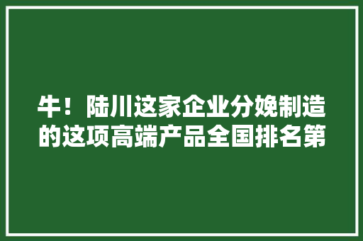 牛！陆川这家企业分娩制造的这项高端产品全国排名第三！然而老板……