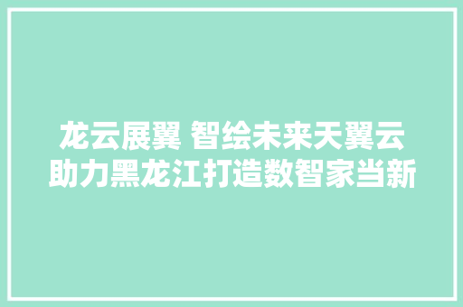 龙云展翼 智绘未来天翼云助力黑龙江打造数智家当新高地！